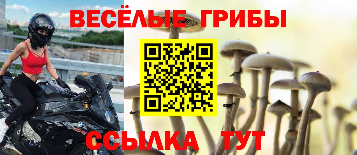 Галлюциногенные грибы GOLDEN TEACHER Новороссийск